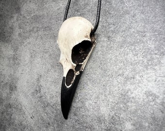 2.75" Raven Skull Necklace Resin Bone Jewelry, Bird Skull Gothic Jewelry, Goth Gift, Oddities Curiosities, Witchy, Viking Pendant