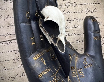 Colar com Crânio de Corvo em Resina, Joia em Osso, Crânio de Pássaro, Joia Gótica, Presente Gótico, Curiosidades, Bruxaria, Pingente Viking, Tamanho 7 cm