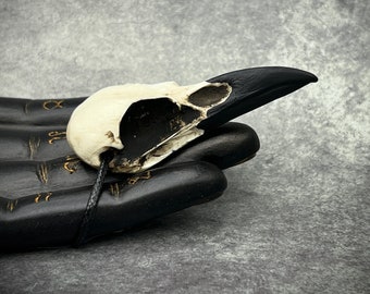 Mini Raven Skull Necklace Resin Bone Jewelry, Bird Skull Gothic Jewelry, Goth Gift, Oddities Curiosities, Witchy, Viking Pendant, 2.75" Size