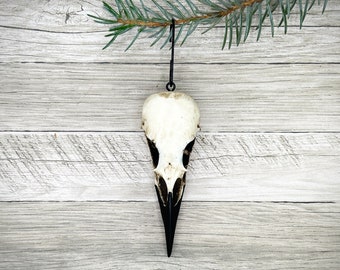 Gothic Raven Skull Ornament, Goth Christmas, Bird Skull, Skull Gift, Oddities Curiosities, Pagan Holiday Decor, Witchy Yule Bone, 2.75" Size