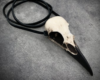 Resin Raven Skull Necklace Oddities Jewelry, Bird Skull, Gothic Jewelry, Gothic Gift, Curiosities, Witchy, Viking Pendant, 2.75" Size