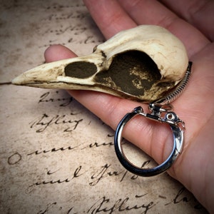 Bird Skull Keychain - Resin Replica Bone Crow Key Chain Magpie Skull Gothic Oddities and Curiosities Key Ring