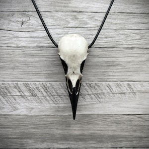 Resin Bone Raven Skull Necklace Gothic Jewelry, Bird Skull Jewelry, Goth Oddities Curiosities, Witchy, Viking Pendant Dark Cosplay Gift