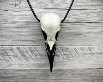 Resin Bone Raven Skull Necklace Gothic Jewelry, Bird Skull Jewelry, Goth Oddities Curiosities, Witchy, Viking Pendant Dark Cosplay Gift