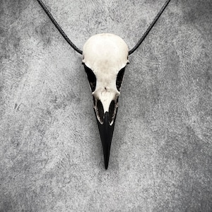 Bone Jewelry Raven Skull Necklace, Bird Skull, Gothic Jewelry, Goth Gift, Oddities and Curiosities, Witchy, Viking Pendant, 2.75 inches