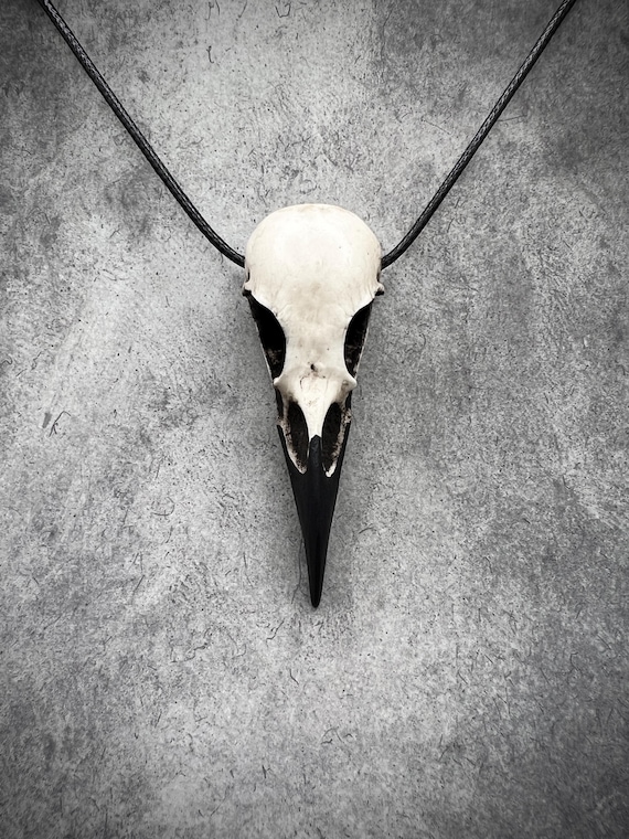 Bone Jewelry Raven Skull Necklace, Bird Skull, Gothic Jewelry, Goth Gift, Oddities Curiosities, Witchy, Viking Pendant, 2.75” SHIPS IN 24hrs