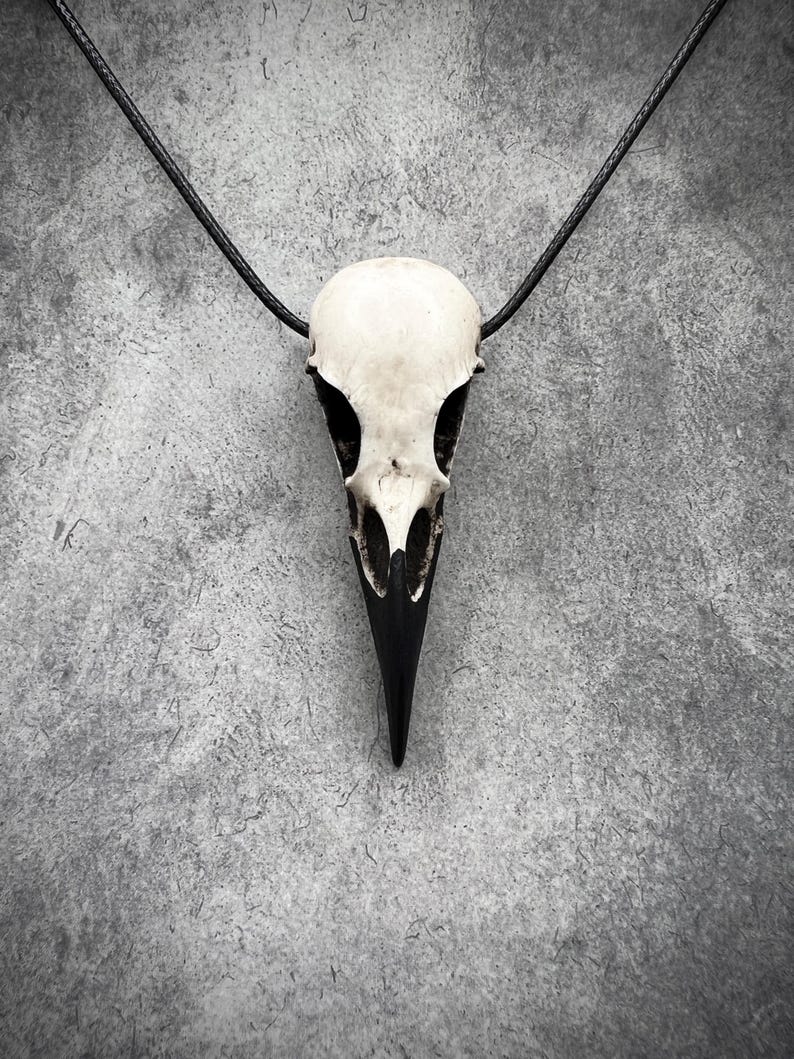 A resin raven skull necklace handmade by a skull jewelry artist. The style of the necklace is alternative and witchy for gothic fashion, Halloween or a gift. The bone jewelry pendant is brown with a black beak and looks like a real animal skull.
