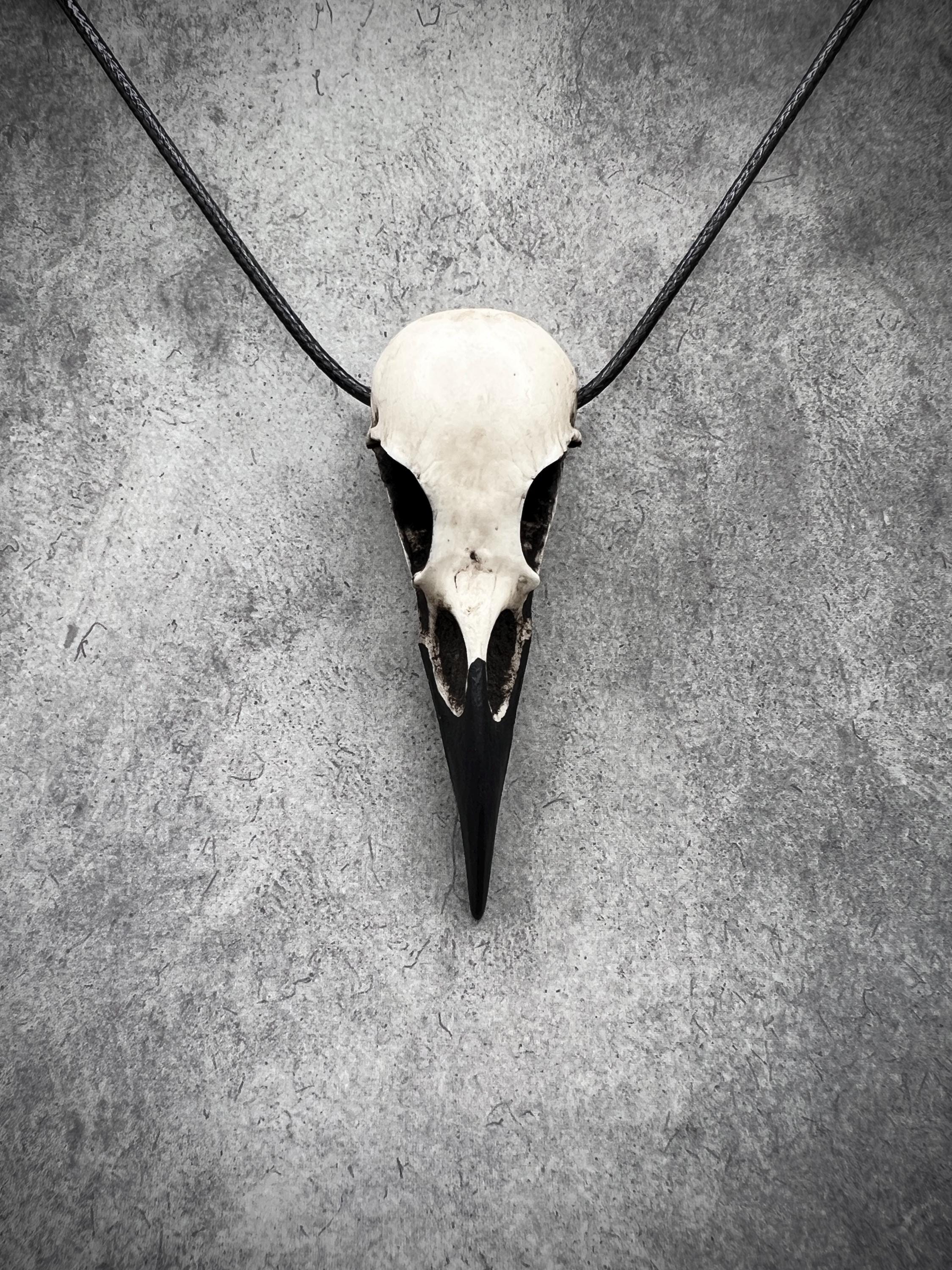 Bone Jewelry Raven Skull Necklace, Bird Skull, Gothic Jewelry, Goth Gift, Oddities and Curiosities, Witchy, Viking Pendant, 2.75 inches