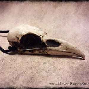 Dark Jewelry Raven Skull Necklace, Vax'ildan Cosplay, Goth Taxidermy Crow Poe Bird Skull Odin Viking Witch Jewelry Ginger Snaps Necklace image 2