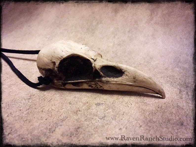 Dark Jewelry Raven Skull Necklace, Vax'ildan Cosplay, Goth Taxidermy Crow Poe Bird Skull Odin Viking Witch Jewelry Ginger Snaps Necklace image 2