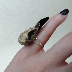 Mini raaf schedelring 1,5" vogelschedel - gegoten bothars replica verstelbare ring - taxidermie kraai poe goth vogel schedel eigenaardigheden bot sieraden