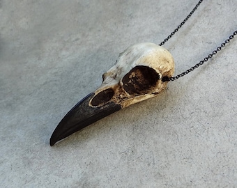 Bone Jewelry Raven Skull Necklace, Bird Skull, Gothic Jewelry, Goth Gift, Oddities and Curiosities, Witchy, Viking Pendant, 2.75 inches