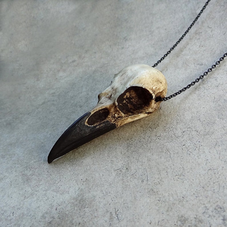 A resin raven skull necklace handmade by a skull jewelry artist. The style of the necklace is alternative and witchy for gothic fashion, Halloween or a gift. The bone jewelry pendant is brown with a black beak and looks like a real animal skull.