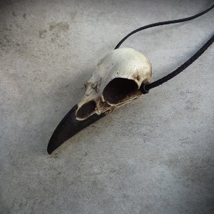 A cast resin replica resin raven skull necklace handmade by a skull jewelry artist. The necklace is alternative and witchy for gothic fashion or Halloween. The bone jewelry pendant is brown with a black beak and hangs from a leather cord strap.