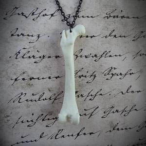 Faux Femur Necklace Bone Resin Replica: Mink Femur Natural Bone Color - Perfect Gift for a Hard to Shop For Unique Person