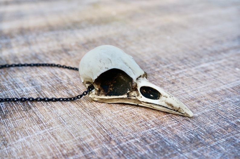 May include: A white bird skull necklace with a black chain. The skull is detailed with a beak and eye sockets.