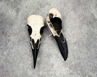 Raven Skull Brooch Pin Bird Skull Lapel Pin, Whimsy Resin Cast Skull Bone Jewelry Bird Skull Pin Curiosities & Oddities Knochen Schmuck
