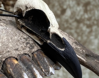 Large Raven Skull Necklace Viking Pendant Bone Jewelry Oddities, Resin Bird Skull Gothic Taxidermy Witchy Pagan Gift Idea, 3.5"