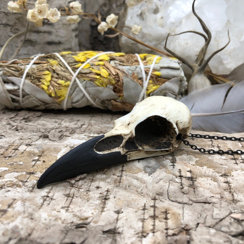 A raven skull necklace resin bone clone on birch bark. The handmade bird skull is made by a skull jewelry artist. The bone jewelry pendant is brown with a black beak like a real animal skull. The gothic accessory is next to a witchy bird feather.