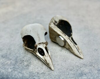 Crow Skull Magnet - Cast Bone Resin Replica Crow Art Magnet 2.5" Magpie Skull Gothic Refrigerator Magnet Oddities and Curiosities Bones