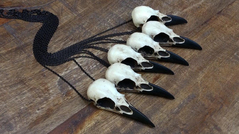 A collection of six bone jewelry resin raven skull necklaces handmade by a skull jewelry artist. The gothic fashion bird skull pendants have a black chain. The realistic bone necklace accessories are brown with a black beak like a real animal skull.