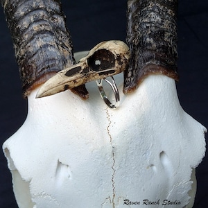 Raven Skull Ring 2-1/8&quot; Resin Bird Skull Faux Bone Jewelry - Unique Goth Gift Idea Gothic Creepy Statement Skull Ring Bone Ring Oddities