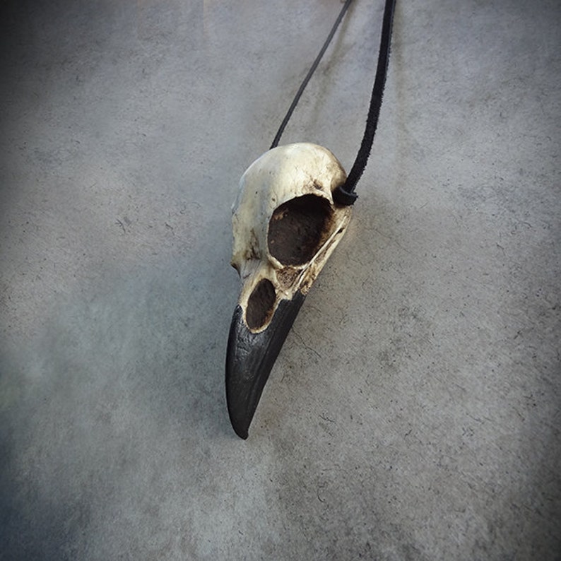 A life size resin raven skull necklace handmade by a skull jewelry artist. The style of the necklace is alternative and witchy for gothic fashion or Halloween. The bone jewelry pendant is brown with a black beak and hangs from a leather cord strap.
