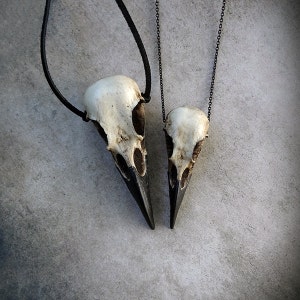 Sale Save 10% Bone Jewelry Raven Skull Duo: Bird Skull Necklace Set Gothic Gift Pagan Viking Witchy Pendant Oddities Jewelry image 1