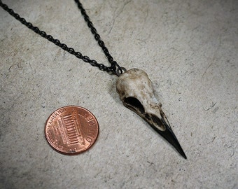 Oddities Gift Raven Skull Necklace Super-Mini (1.5" Tiny) Bone Jewelry Resin Skull Gothic Gift Bird Skull Jewelry Animal Bones Charm Amulet