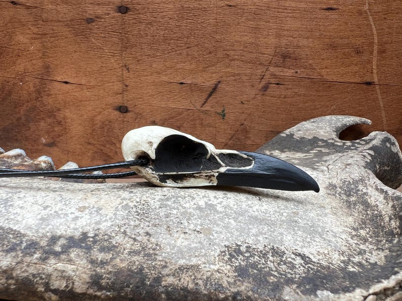 Bone Jewelry Raven Skull Necklace, Bird Skull, Gothic Jewelry, Goth Gift, Oddities Curiosities, Witchy, Whimsy Pendant, 2.75” SHIPS IN 24hrs image 10