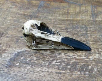 Raven Skull Brooch Pin Bird Skull Lapel Pin, Resin Cast Skull Bone Jewelry Bird Skull Pin Taxidermy Curiosities & Oddities Knochen Schmuck