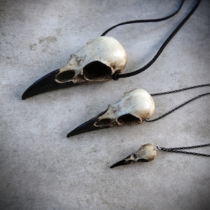 Sale Save 15% Bone Jewelry Resin Raven Skull Trio: Bird Skull Necklace Set Raven Magpie Crow Poe Steampunk Cosplay LARP Druid