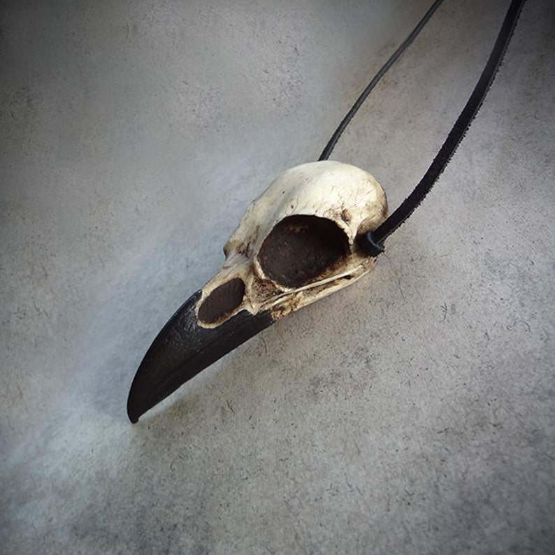 A large raven skull necklace handmade with resin by a skull jewelry artist. The style of the necklace is alternative and witchy for gothic fashion or Halloween. The bone jewelry pendant is brown with a black beak and hangs from a leather cord strap.