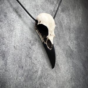 A side view of a resin raven skull necklace handmade by a skull jewelry artist. The style of the necklace is alternative and witchy for gothic fashion, Halloween or a gift. The bone jewelry pendant is brown with a black beak and looks like a real animal skull.