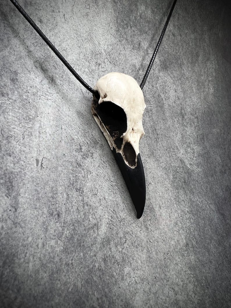 A side view of a resin raven skull necklace handmade by a skull jewelry artist. The style of the necklace is alternative and witchy for gothic fashion, Halloween or a gift. The bone jewelry pendant is brown with a black beak and looks like a real animal skull.