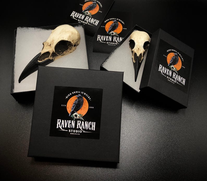 Packaging for a resin raven skull necklace handmade by a skull jewelry artist. The style of the necklace is alternative and witchy for gothic fashion, Halloween or a gift. The bone jewelry pendant is brown with a black beak and looks like a real animal skull.