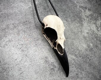 Bone Jewelry Resin Raven Skull Necklace Gothic Pendant Gift, Bird Skull Necklace, Oddities Curiosities, Witchy, Viking Pendant Creepy Gift