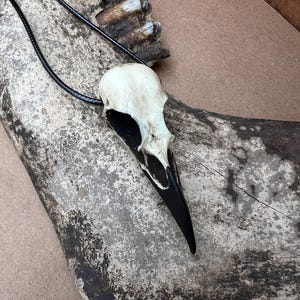 Bone Jewelry Raven Skull Necklace, Bird Skull, Gothic Jewelry, Goth Gift, Oddities Curiosities, Witchy, Whimsy Pendant, 2.75” SHIPS IN 24hrs image 7