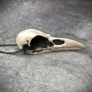 Mini Raben Schädel Knochen Halskette, Harz Knochen Schmuck Vogel Schädel, Gothic Schädel Geschenk, Gothic Wikinger Kuriositäten Witchy Anhänger, 7,5 cm