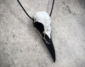 Gothic Gift Raven Skull Necklace Resin Bone Jewelry, Bird Skull, Oddities and Curiosities, Viking Pendant