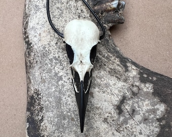Colar de caveira de corvo, joia de osso de resina, caveira de pássaro, joia gótica, presente gótico, curiosidades, bruxaria, pingente viking, tamanho 2,75"