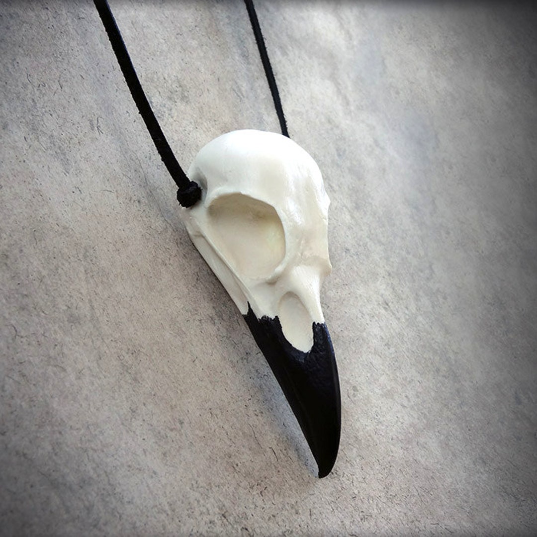 Creative 3D Gothic Raven Skull Pendant Resin Bird Skull Necklace Gothic  Gifts US