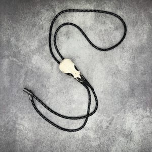 May include: A bolo tie featuring a bird skull pendant with black and white accents. The pendant is attached to a black braided leather cord with a silver-toned metal clasp. The skull is cream-colored.