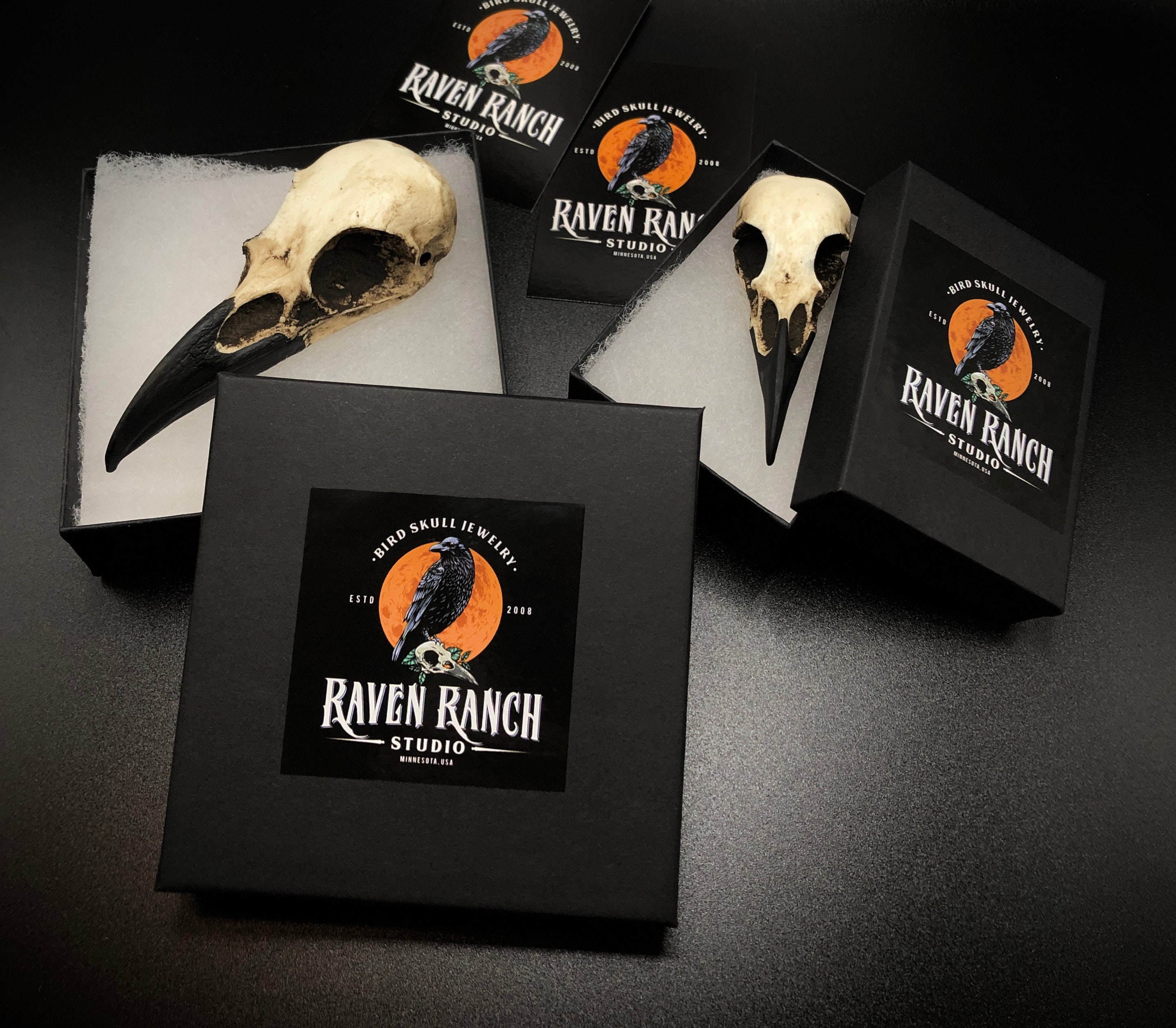 Gothic Raven Skull Ornament, Goth Christmas, Bird Skull, Oddities ...