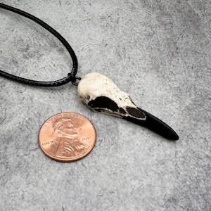 Oddities Gift Raven Skull Necklace Super-Mini 1.5" Tiny Bone Jewelry Resin Skull Gothic Gift Bird Skull Animal Bones Charm, SHIPS IN 24hrs