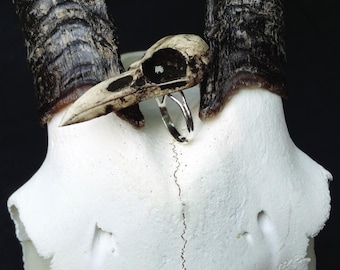 Raven Skull Ring 2-1/8" Resin Bird Skull Faux Bone Jewelry - Unique Goth Gift Idea Gothic Creepy Statement Skull Ring Bone Ring Oddities