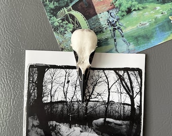 Raven Skull Refrigerator Magnet - Skull Magnet Oddities and Curiosities Dishwasher Magnet Gothic Home Decor Alternative Art, Halloween Decor