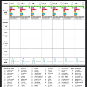 Plan C Belle Vitale - Agenda 12 semaines