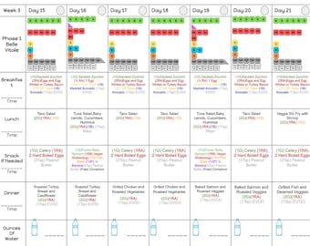 May include: A weekly meal plan chart with a colorful grid layout. The chart lists breakfast, lunch, snack, dinner, and ounces of water for each day of the week. The meals include items like eggs, avocado, tuna salad, celery, hard-boiled eggs, roasted turkey breast, cauliflower, grilled chicken, roasted vegetables, baked salmon, and grilled fish.
