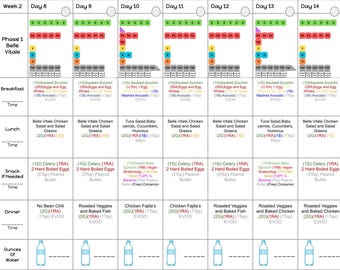 May include: A weekly meal plan chart with a colorful grid showing different food options for each day. The chart includes breakfast, lunch, snack, dinner, and ounces of water. The chart is labeled with the days of the week, from Day 8 to Day 14.